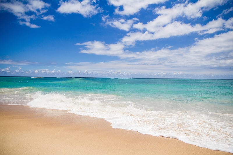 Exotic Travel Destination